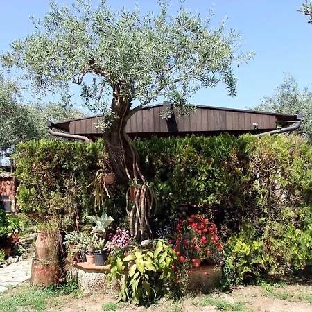 Capo Plaia Cefalù